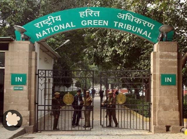 एनजीटी का आदेश डीएम बताएं कितने पेड़ कटे